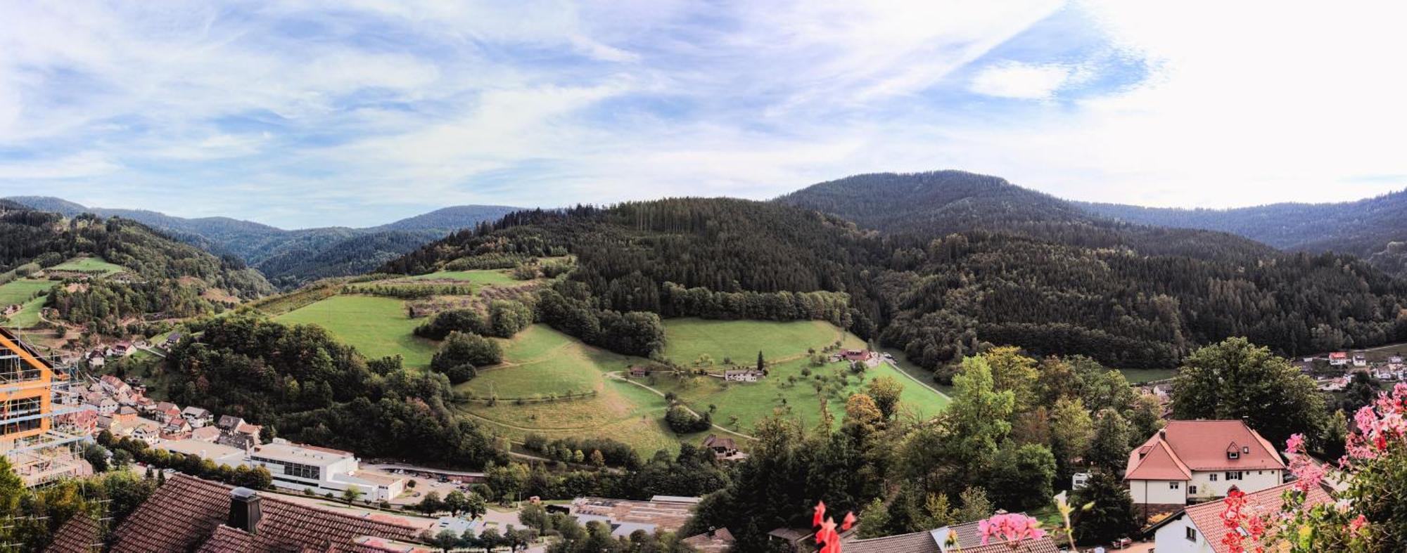 Hotel Schauinsland Bad Peterstal-Griesbach Extérieur photo