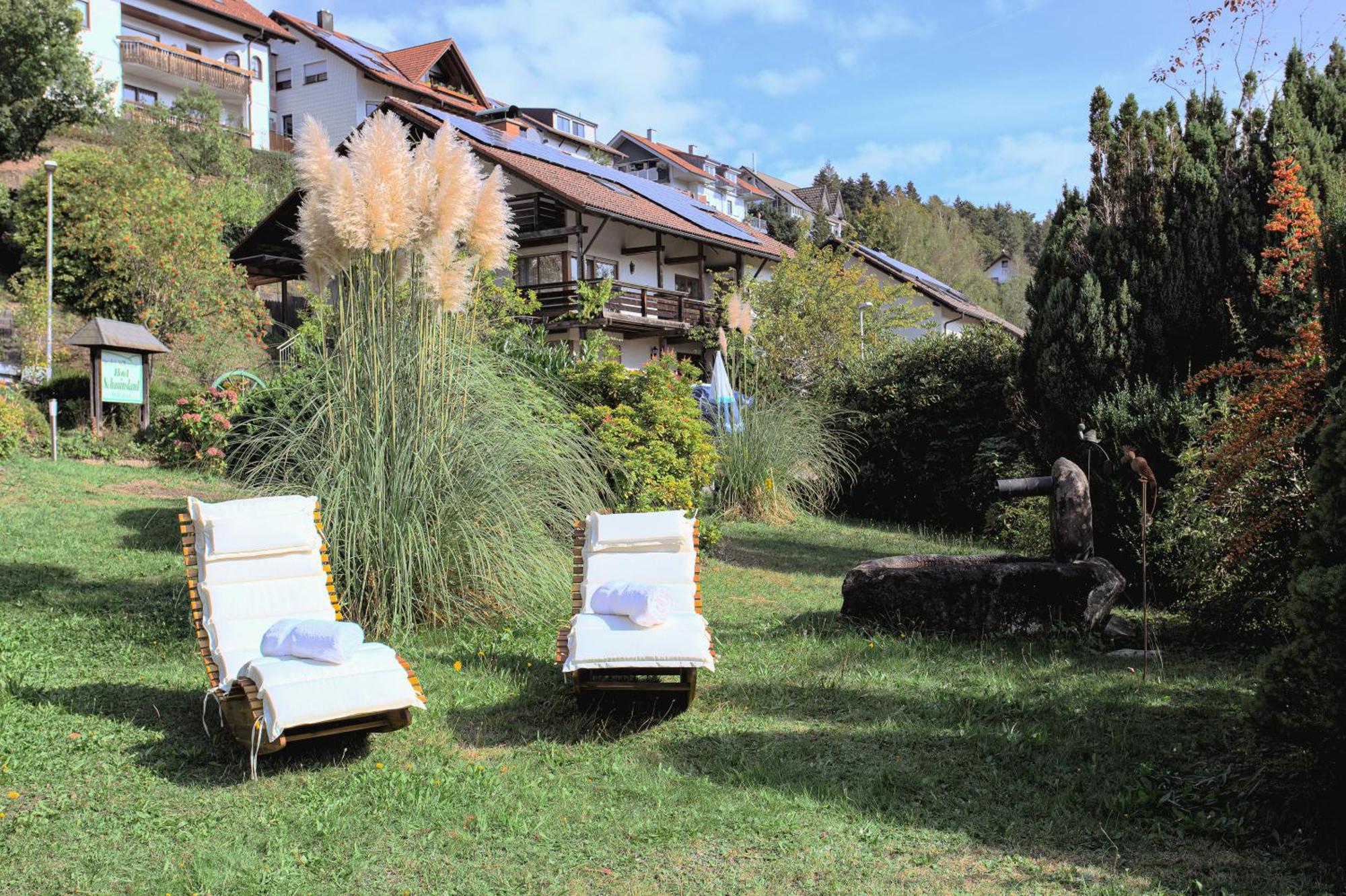 Hotel Schauinsland Bad Peterstal-Griesbach Extérieur photo