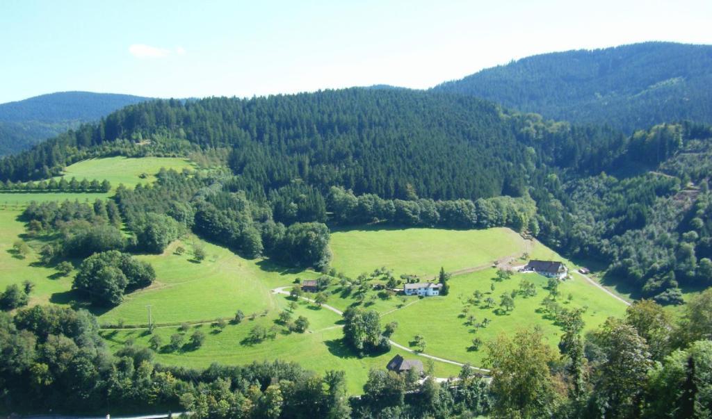 Hotel Schauinsland Bad Peterstal-Griesbach Chambre photo